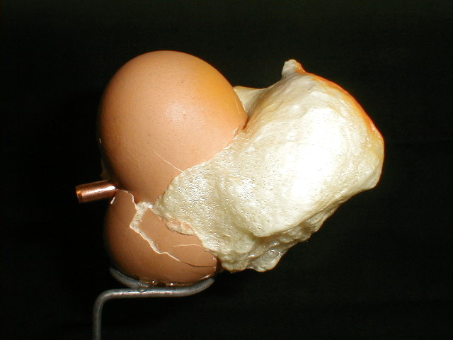 Egg2-vi