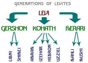 levite-generations